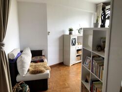 Jade Mansion (D10), Condominium #472176361